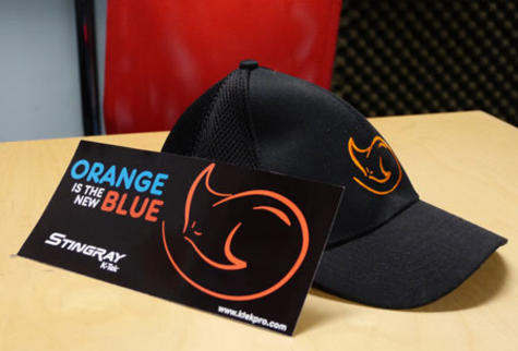 Look Sharp as a Stingray