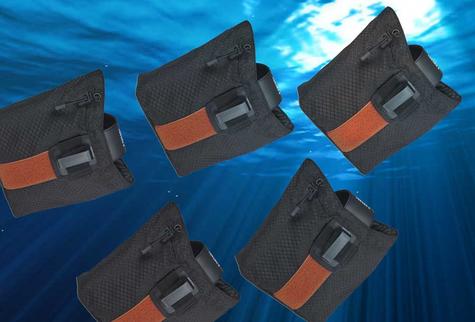 Stingrays Travel in Packs