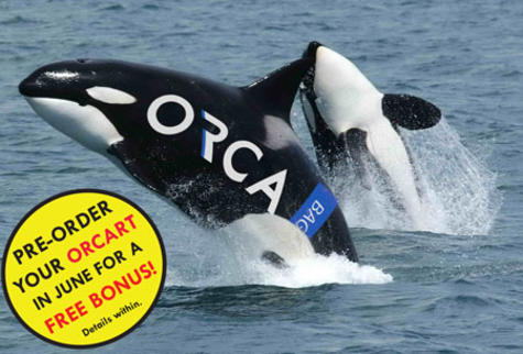 June 12th is Orca Day at GSC NY!