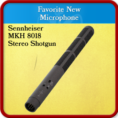 Sennheiser MKH 8018 Stereo Shotgun	Favorite New Microphone