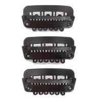 Hair Clipz Set