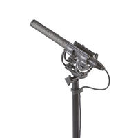 InVision INV-7HG mkIII Shock Mount