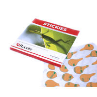 Stickies 100 Pack