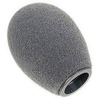 B 5 D Hollow Foam Windscreen