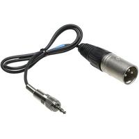CL100 Output Cable