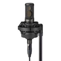 C-100 Studio Vocal Microphone